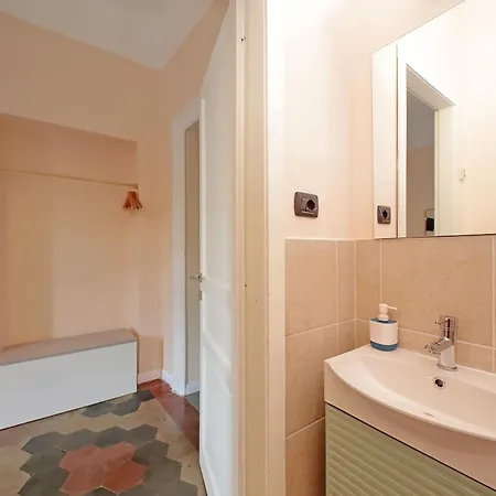 Colosseo Kokedama Frühstückspension Rom