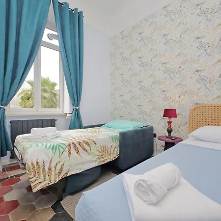 Colosseo Kokedama Rom