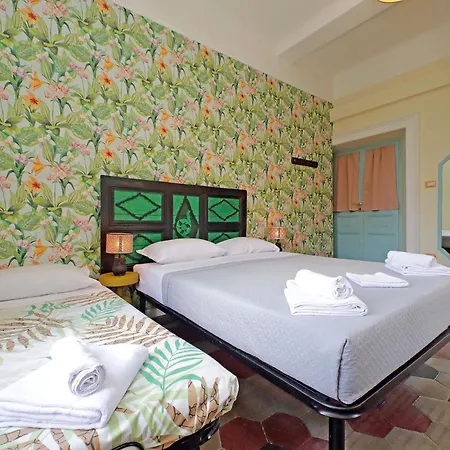 Colosseo Kokedama Rom