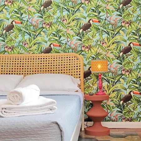 Colosseo Kokedama Frühstückspension Rom